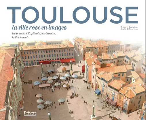Couverture de Toulouse, la ville rose en images